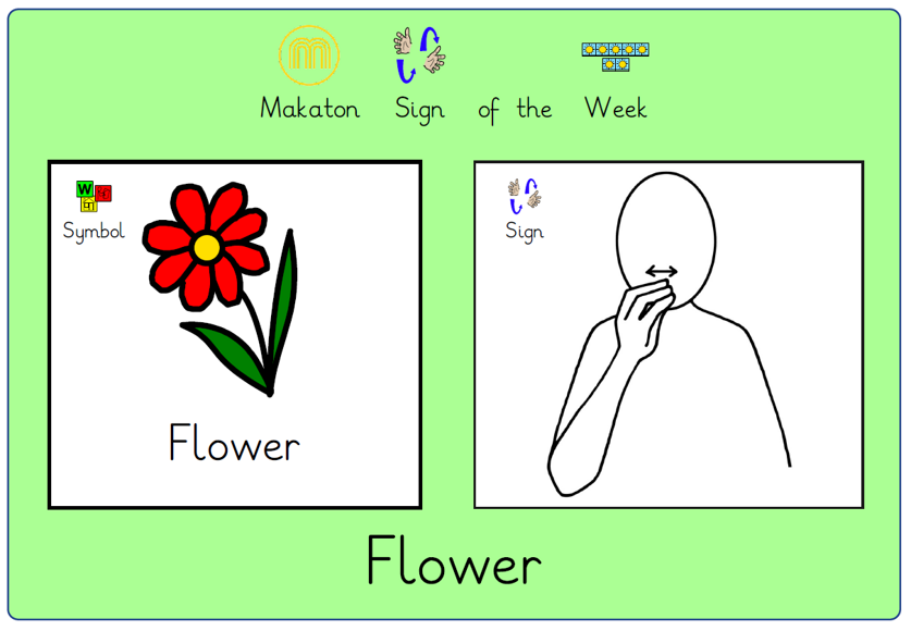 Makaton sign of the week Flower 06/02/2023 News Bradstow School