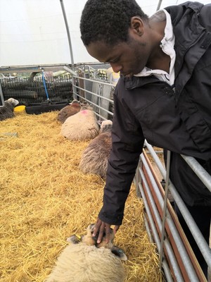 Easter stb 10 april 2019 08
